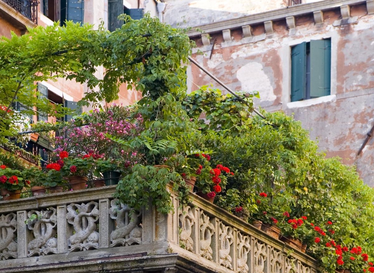 Bari, il verde germoglierà su duemila metri quadri di tetti Bari, il verde germoglierà su duemila metri quadri di tetti