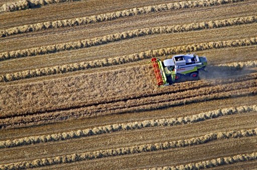 Le aziende agricole in Italia: occupazione in calo nel 2013 Le aziende agricole in Italia: occupazione in calo nel 2013