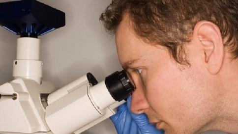 Da ricerca italiana le nano-antenne che "scovano" cancro e diabete Da ricerca italiana le nano-antenne che "scovano" cancro e diabete