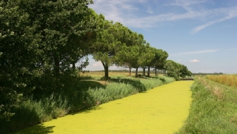 Aria più pulita in Pianura Padana, le polveri sottili sono in calo Aria più pulita in Pianura Padana, le polveri sottili sono in calo