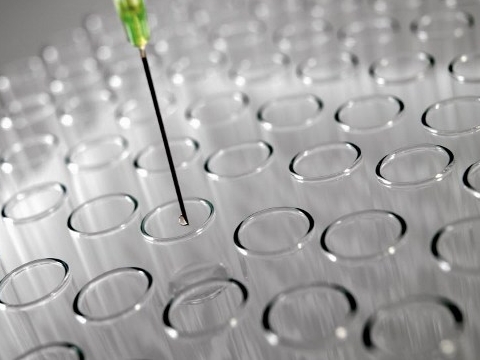 Un microchip che studia le metastasiPasso in avanti nella lotta ai tumori Un microchip che studia le metastasiPasso in avanti nella lotta ai tumori