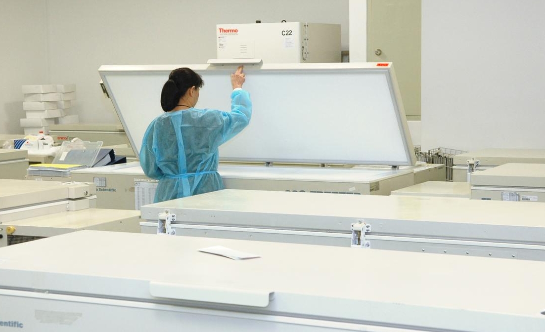 Al via i test sull'"ibernazione"umanaAnimazione sospesa per operare Al via i test sull'"ibernazione"umanaAnimazione sospesa per operare