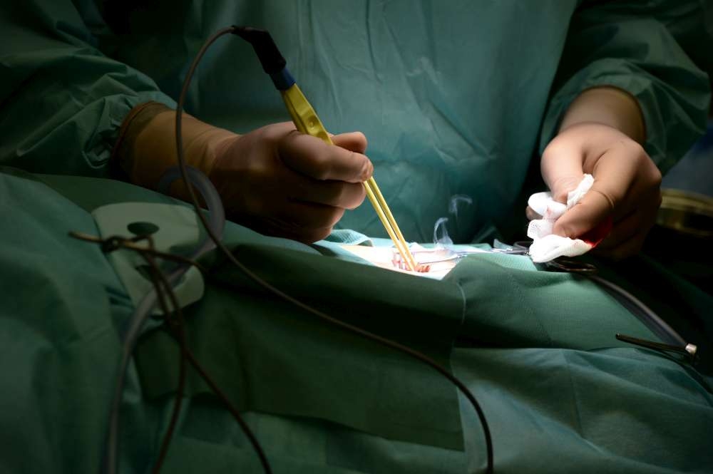 Usa, medici pronti a staccarle la spina: 56enne si risveglia dal coma Usa, medici pronti a staccarle la spina: 56enne si risveglia dal coma