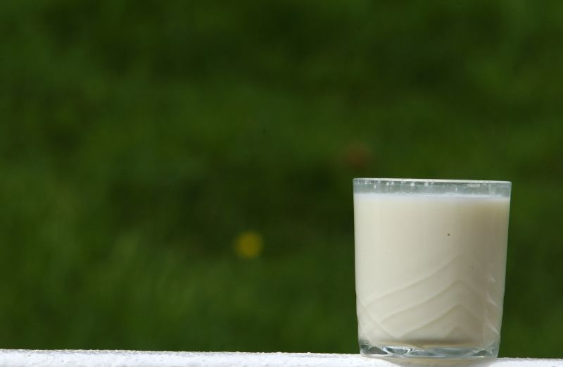 Agricoltura: dal 1° aprile addio al sistema delle quote latte Agricoltura: dal 1° aprile addio al sistema delle quote latte