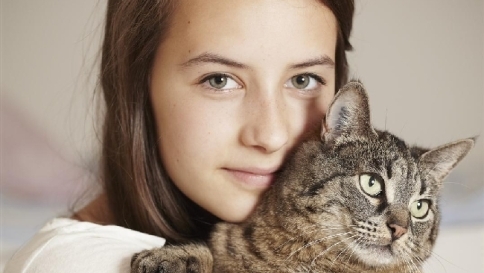 Il Gatto Può Farti Diventare Matto Scoperto Rischio Malattie