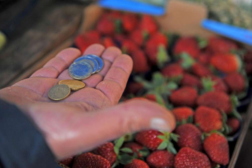 Diseguaglianze e disagio economico: gli effetti della crisi sulle famiglie Diseguaglianze e disagio economico: gli effetti della crisi sulle famiglie