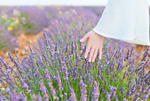 Lavanda: non solo il piacere del profumo, ma un aiuto per pelle e occhi Lavanda: non solo il piacere del profumo, ma un aiuto per pelle e occhi