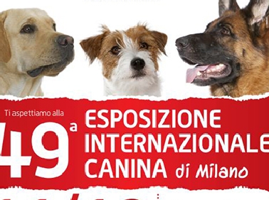 Premio Nobel Per La Medicina 2018 Cuccioli Cani Regalo Viterbo