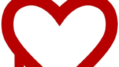 "Heartbleed", allarme sicurezza in Rete: per falla a rischio milioni di siti "Heartbleed", allarme sicurezza in Rete: per falla a rischio milioni di siti