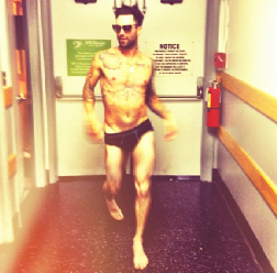 Adam Levine in slip per "The Voice" Adam Levine in slip per "The Voice"