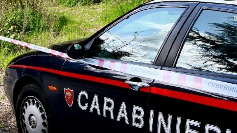 Vittima di un omicidio di 'ndranghetavenne data viva in pasto ai maiali Vittima di un omicidio di 'ndranghetavenne data viva in pasto ai maiali