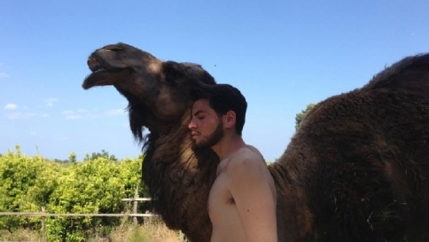 "Contro la crisi allevo dromedari"
Una favola araba in terra sicula "Contro la crisi allevo dromedari"
Una favola araba in terra sicula