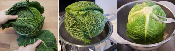Fig. 1 Fig. 1