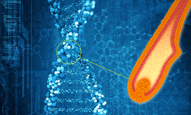 Applicare maschere con olio di bardana e un tuorlo su capelli secchi