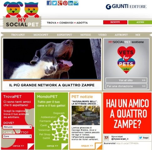 Ecco "Mysocialpet", il primo motore di ricerca per cani e gatti da adottare Ecco "Mysocialpet", il primo motore di ricerca per cani e gatti da adottare