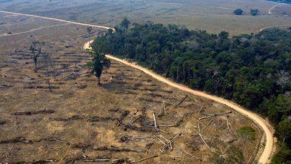 brasile, amazzonia, incendio, esercito