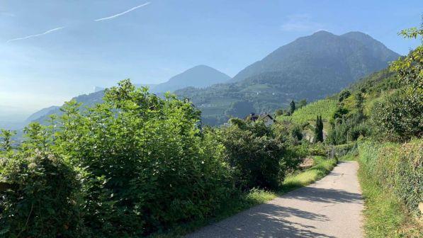 merano neonato morto