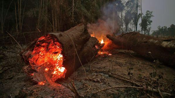 brasile, amazzonia, incendio, esercito