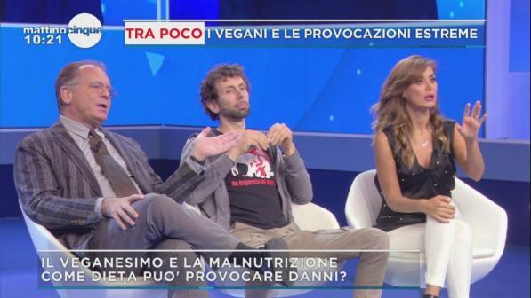 Cecchi paone