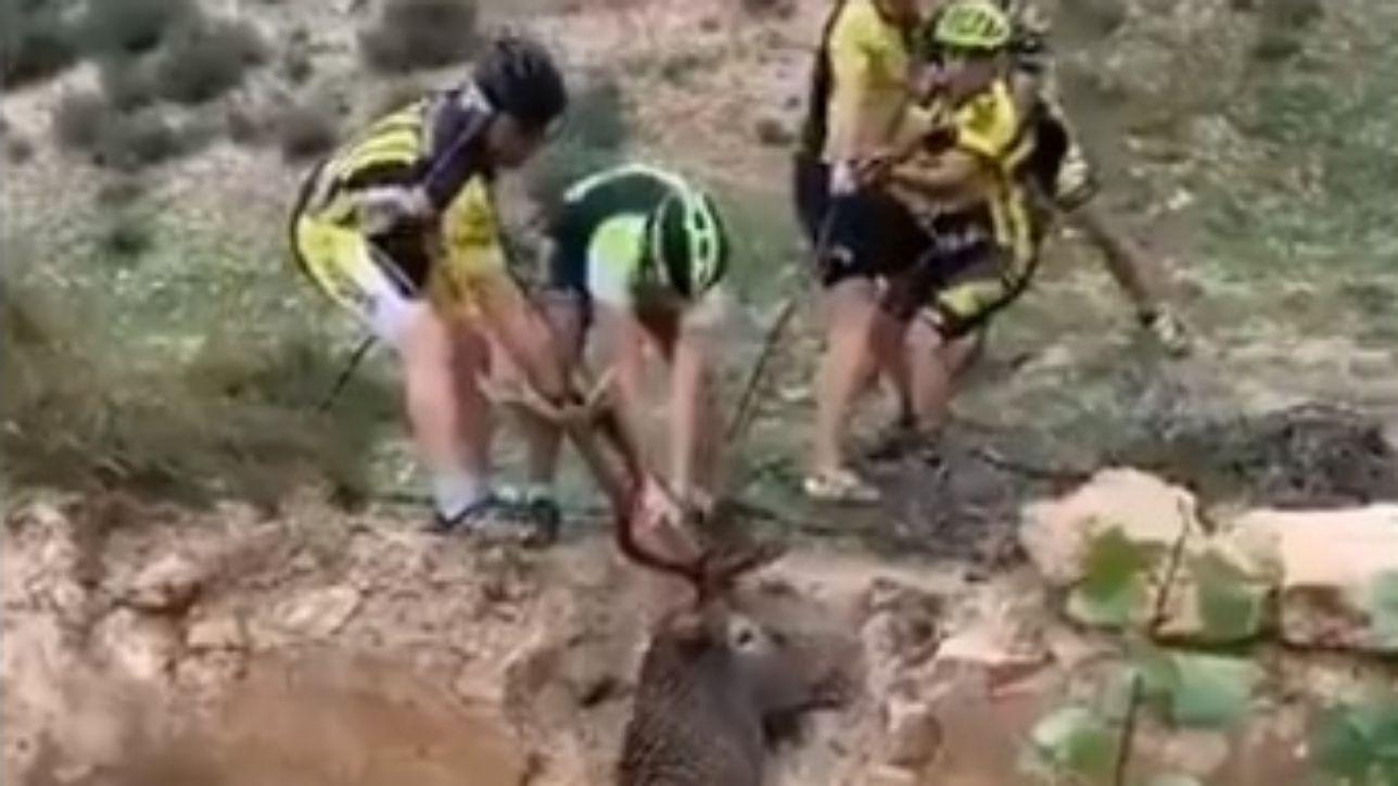 Prendere il cervo per le corna: l'impresa di una squadra di ciclisti spagnoli