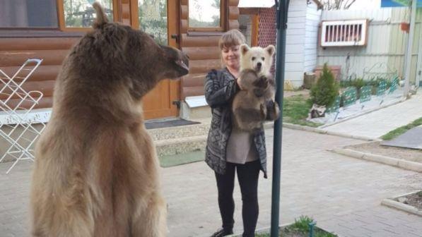 Russia, un fratellino per l'orso Stepan: ecco il cucciolo Semyon a casa Panteleenko - foto 1