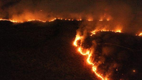 incendi amazzonia