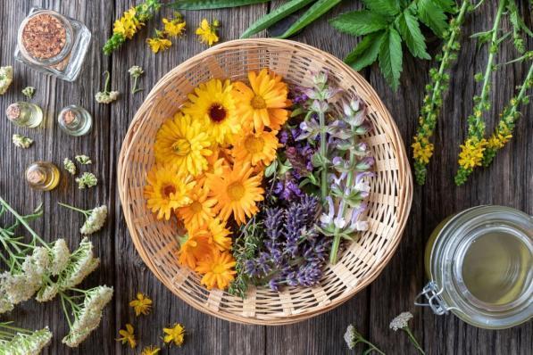 Fiori di Bach, rimedi naturali, benessere, natura