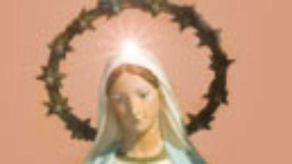 Cosenza, parroco vende i gioielli d'oro della Madonna per