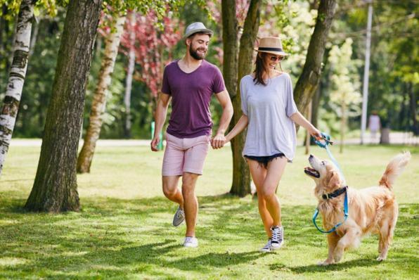 passeggiare, benessere, salute, attività fisica, stare all'aria aperta, cane, coppia, prato,