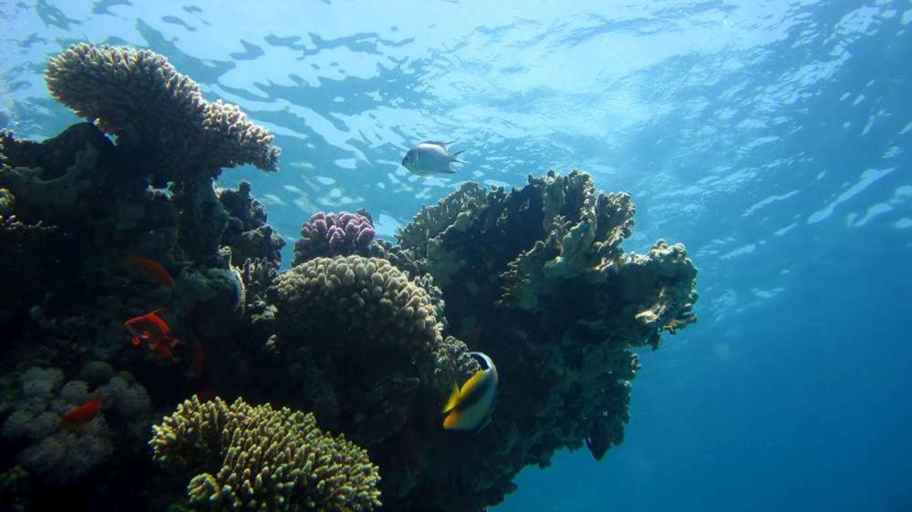 Clima, dossier Onu: "Gli oceani sono sempre più caldi, danni in aumento"