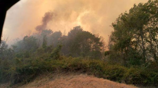 Sardegna, rogo lambisce colonia penale: detenuti evacuati - foto 1