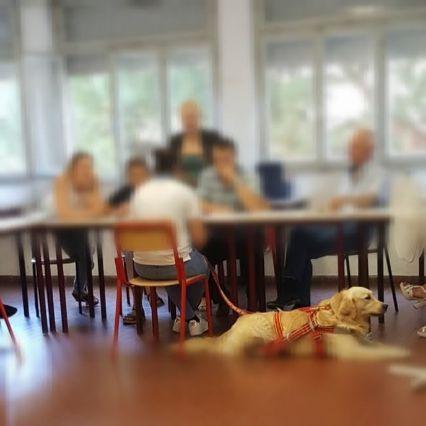Lazio'da denizde 8 çocuğu kurtaran cankurtaran köpeği Mira hayatını kaybetti
