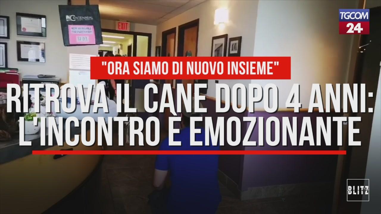 Ritrova il cane dopo quattro anni: l'incontro è emozionante